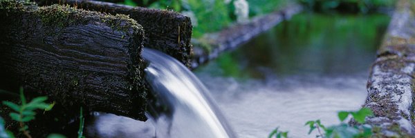 InternetFount Profile Banner