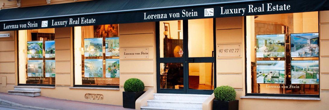 Lorenza von Stein banner
