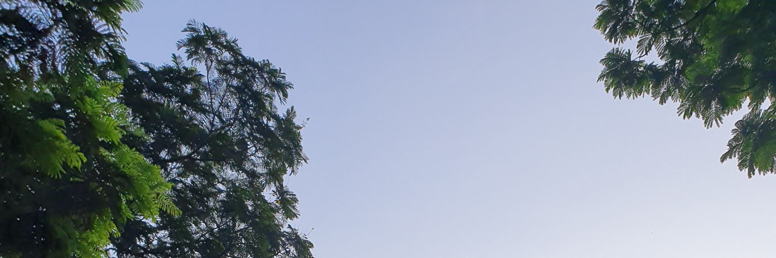 out_mun's profile banner image
