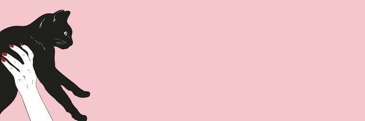 fraanjauregui's profile banner image