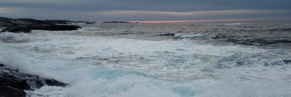 ToreFurevik Profile Banner