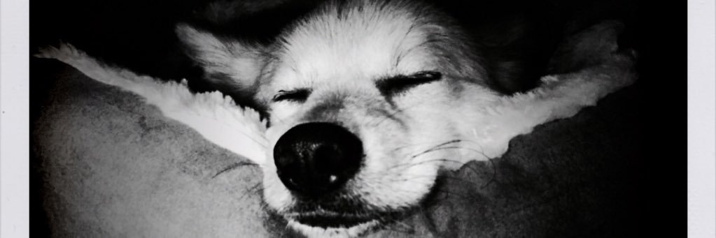 annvalenciaa's profile banner image