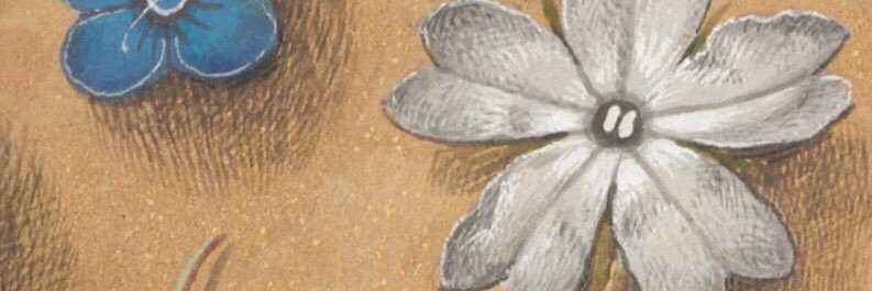 lakeluiseee's profile banner image