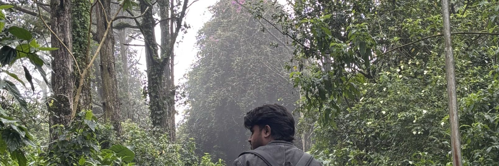 Revvingdoc's profile banner image