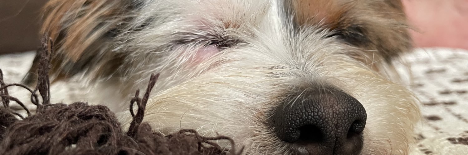 Letícia Olímpio banner