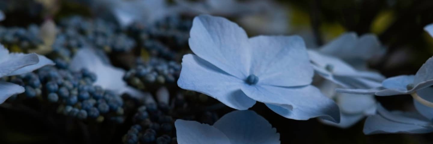 clever_turtle27's profile banner image