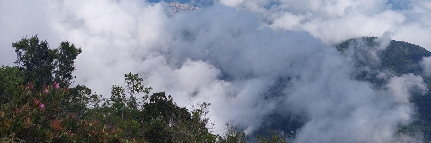 YYRA0240's profile banner image