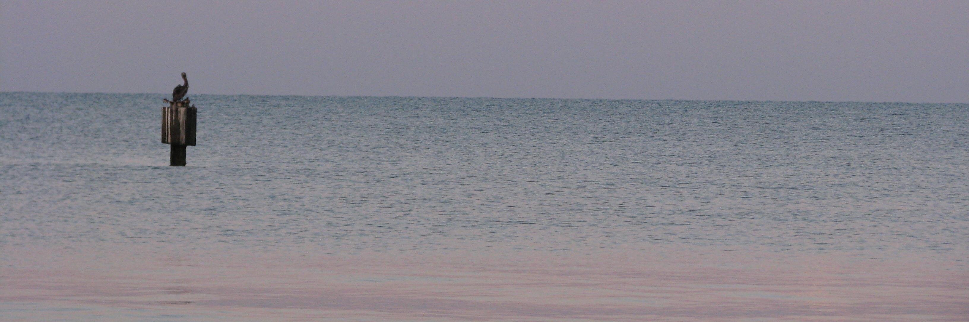 JDawgDo9's profile banner image