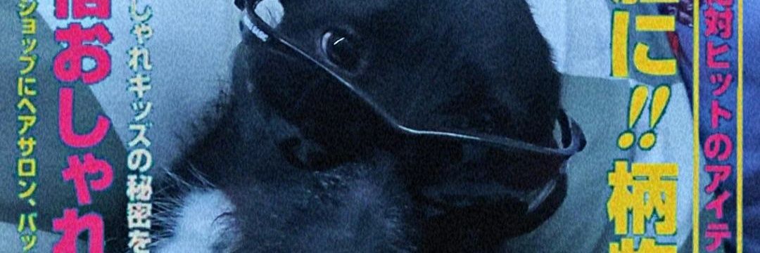 SuQchoo's profile banner image