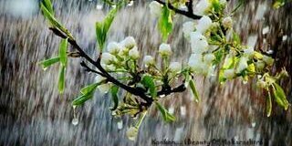 Dhananjay__99's profile banner image