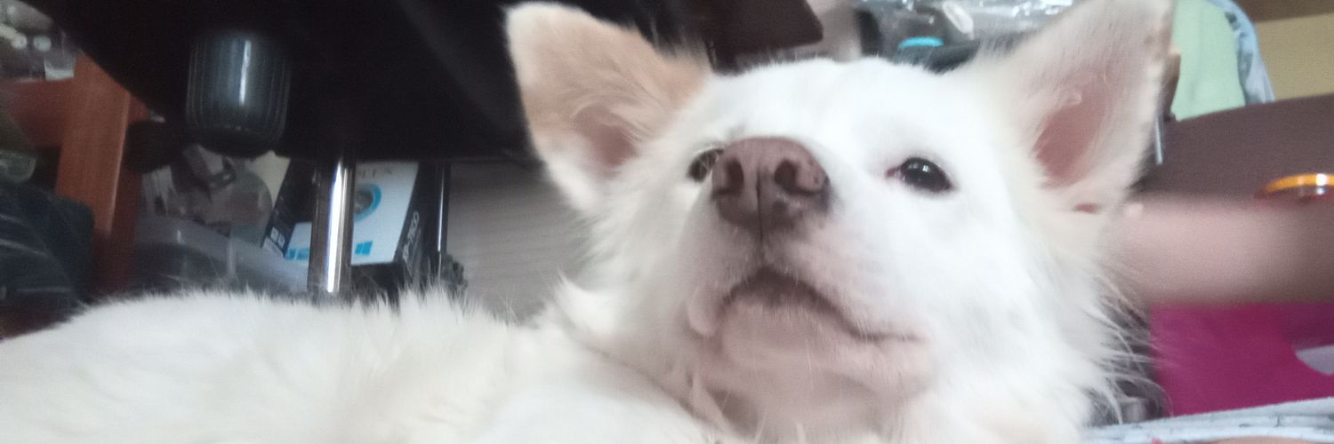 RobertaDimagiba's profile banner image