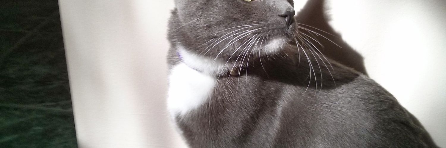 tcsmudge's profile banner image
