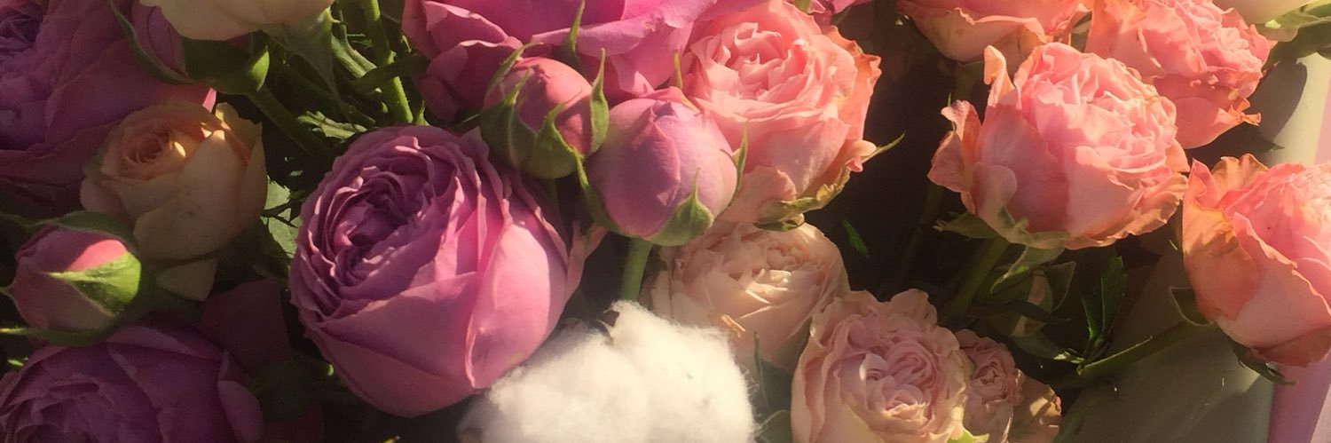 TNLonelove's profile banner image