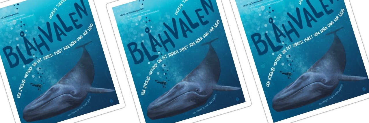 Andreas Tjernshaugen banner