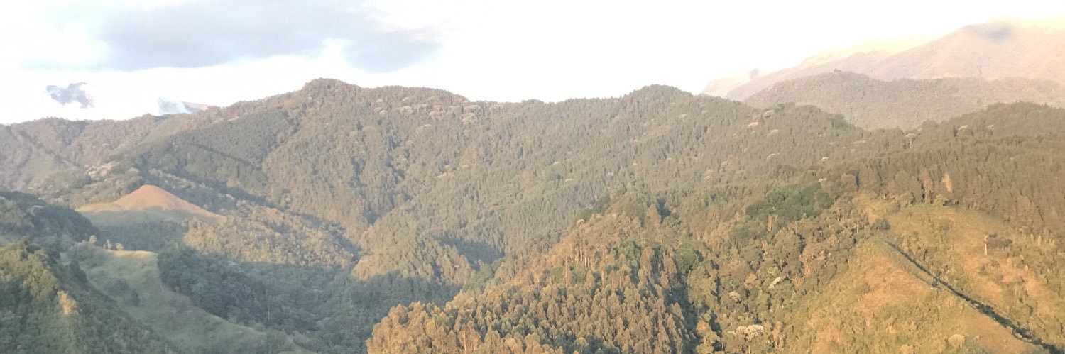 MaoAroca's profile banner image