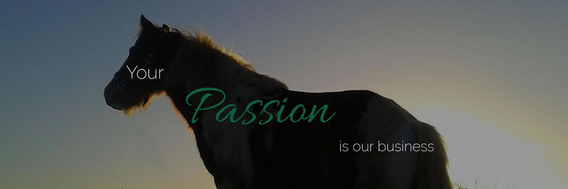Equivation's profile banner image