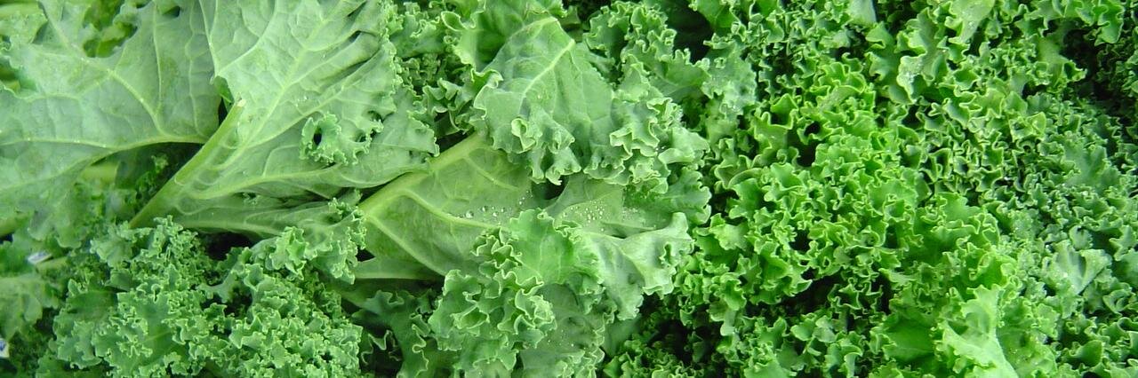 Curbside Market banner