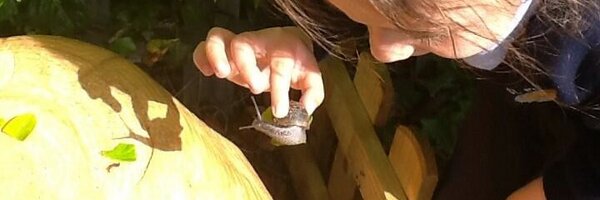 stppsNUR Profile Banner