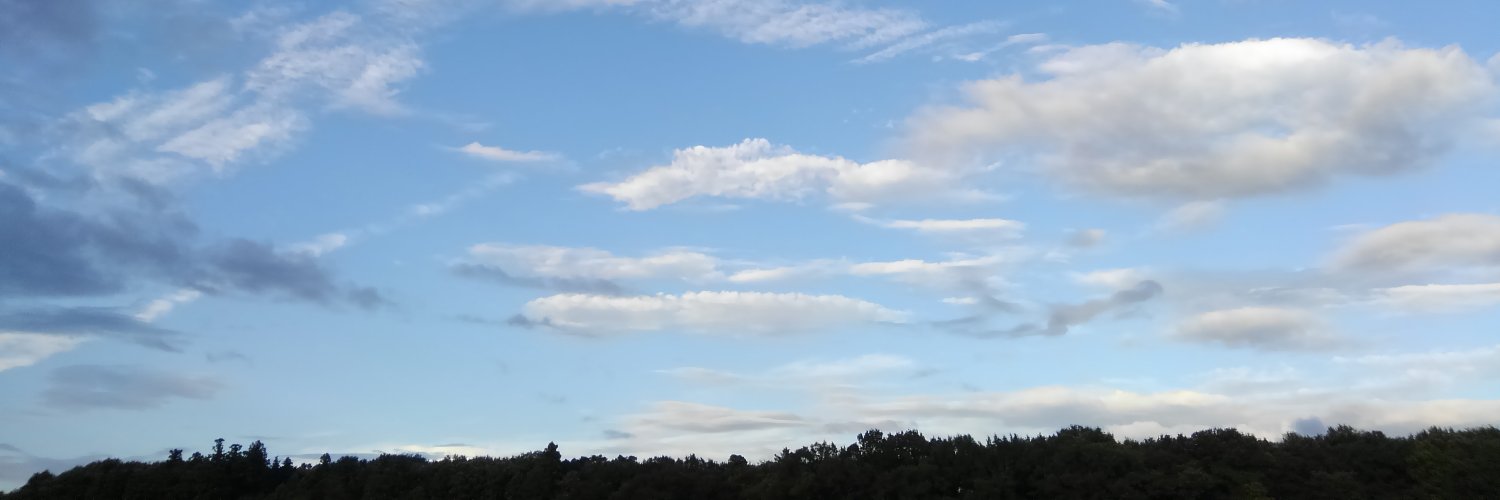 windblum's profile banner image