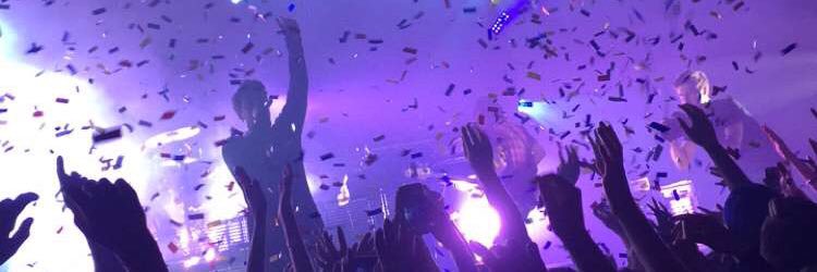 lexi banner
