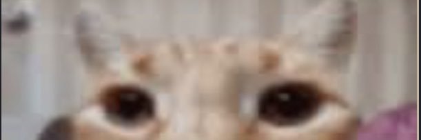 enderhay's profile banner image