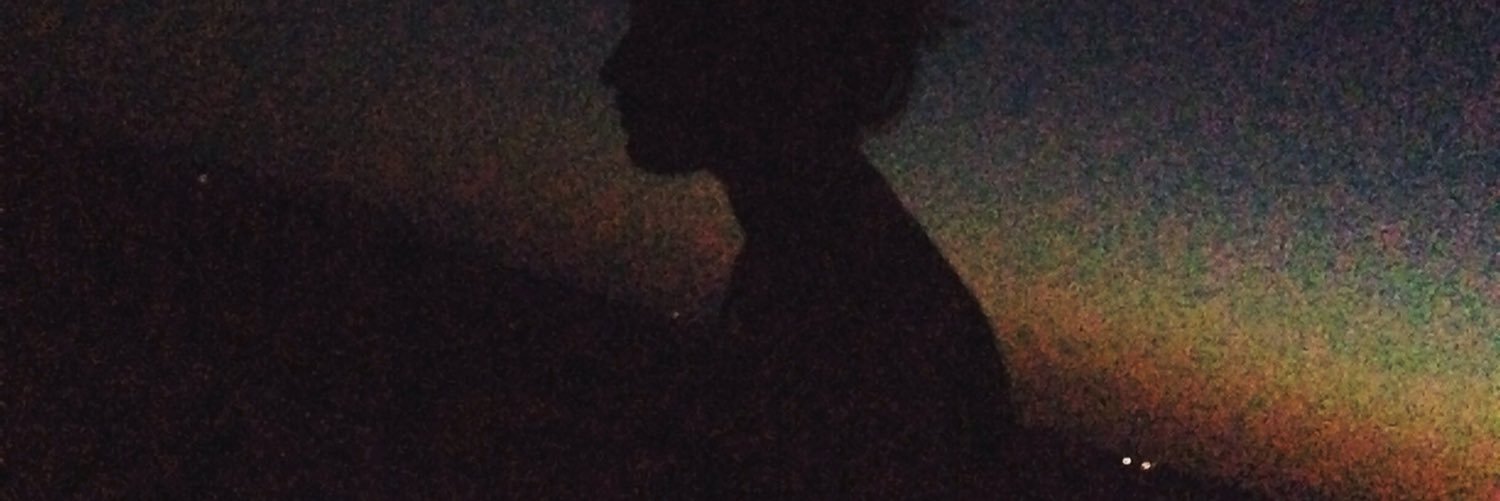 lubbawintzer's profile banner image