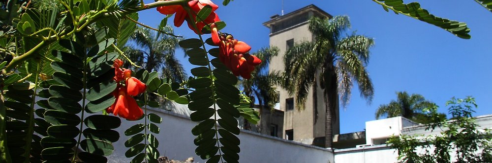 Instituto Clemente Estable's banner