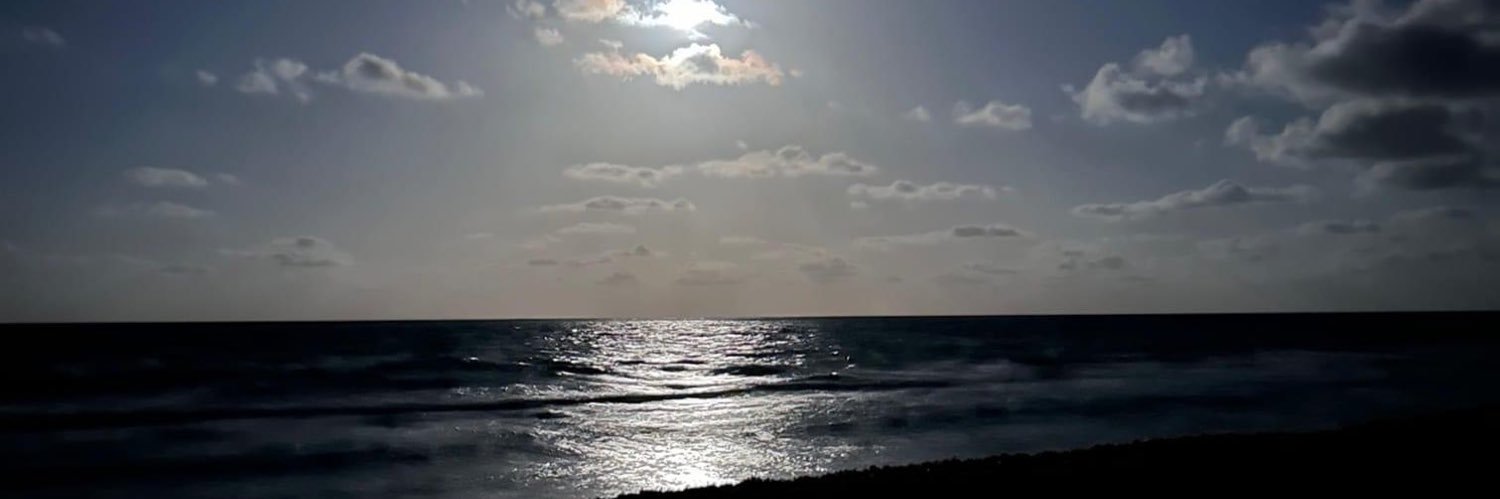 johizss's profile banner image