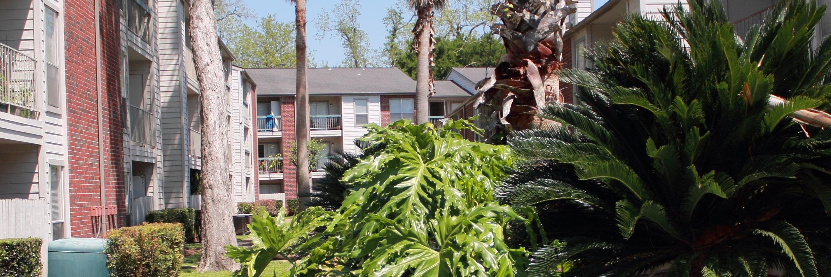 TheLandingTX's profile banner image