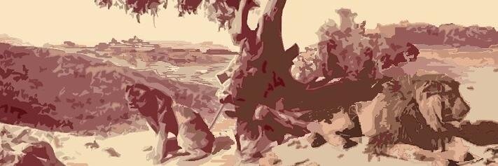BigBarbaryCat's profile banner image