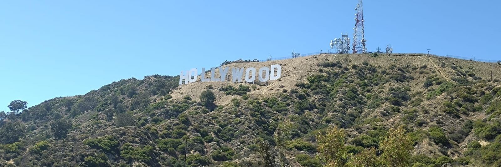 Dr. Volker Keiner banner