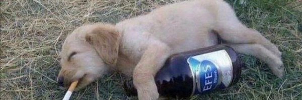 UFO_FGC Profile Banner