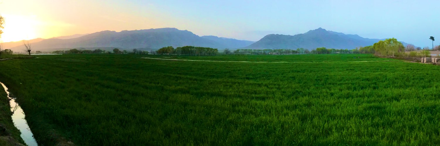 Shair_Sha's profile banner image