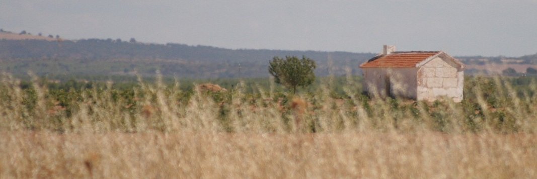 danladds's profile banner image