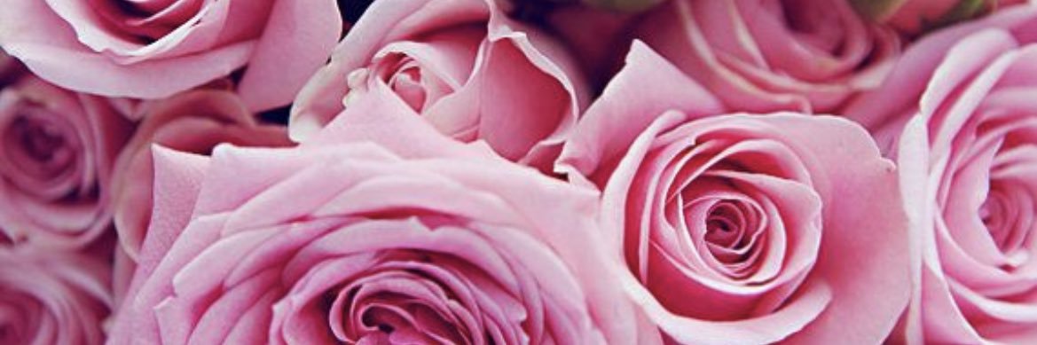Pytx_Brii's profile banner image