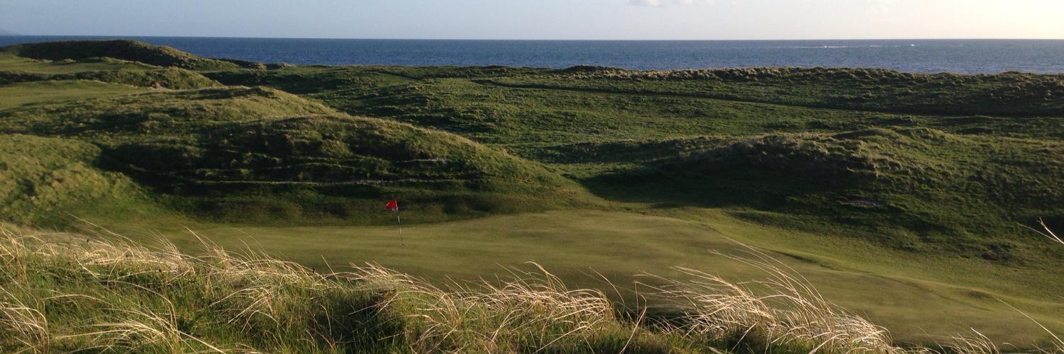 Michael Goldstein banner