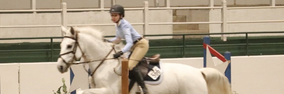 Lori Summers banner