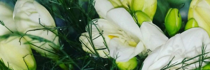 acarlez's profile banner image