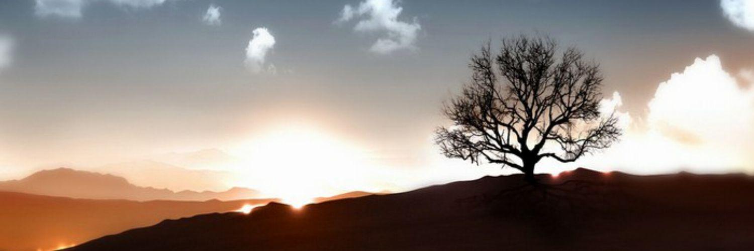aldhy86's profile banner image