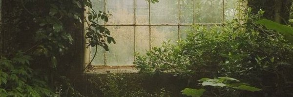 thecarefreenook Profile Banner