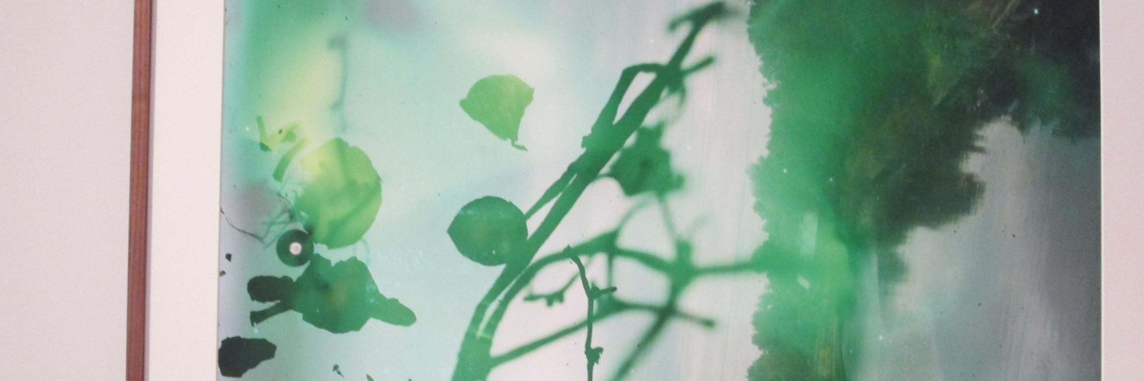 DorisBaertle's profile banner image