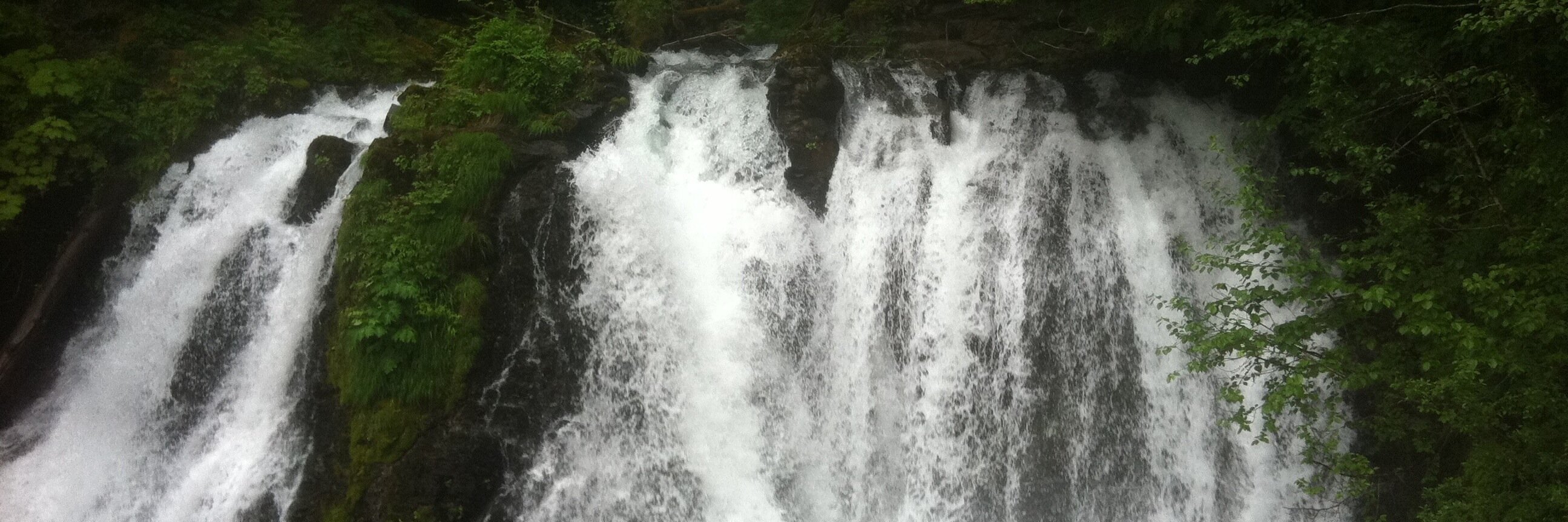 Jeremy Montague, Ph.D. banner