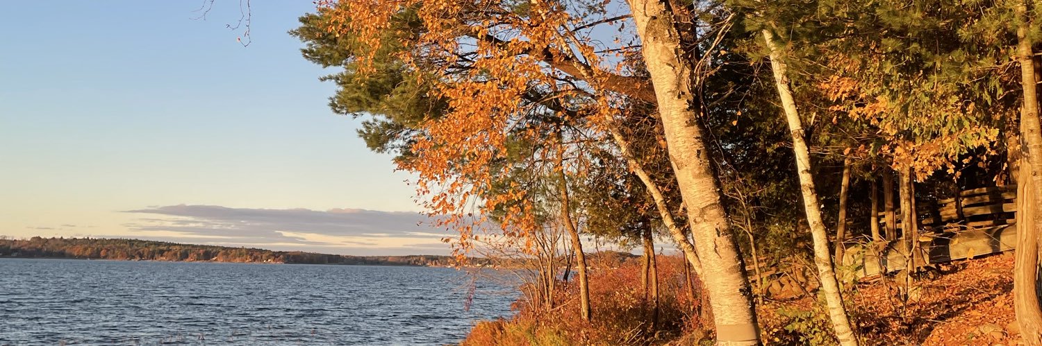 Richard Hanley banner