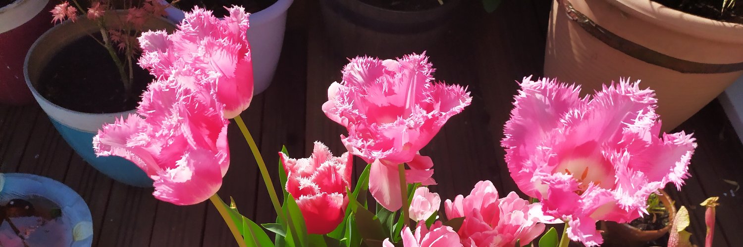 ChristineDAAP's profile banner image