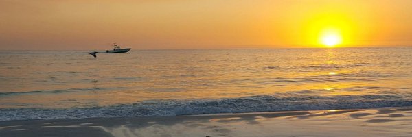 Irishreports Profile Banner