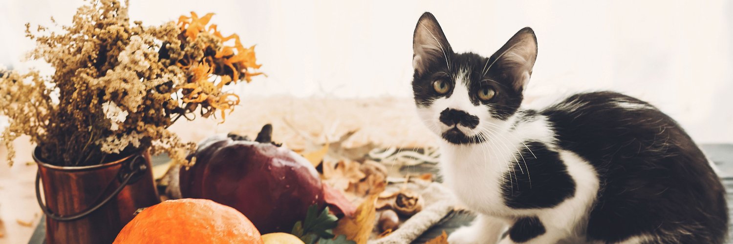 Pet Product News banner