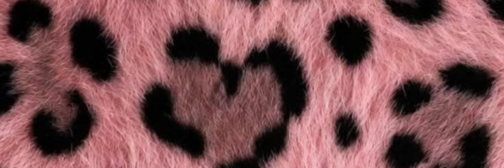 PauHolbrook's profile banner image