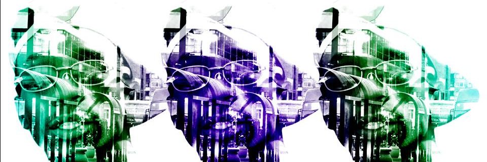 nkosnuty's profile banner image