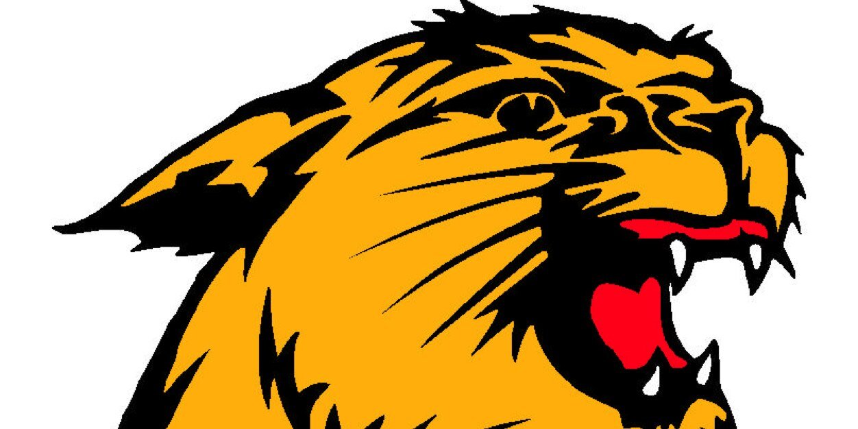 dhsbball's profile banner image