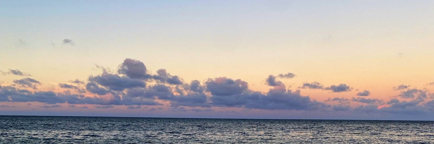 Beyerlicious_'s profile banner image